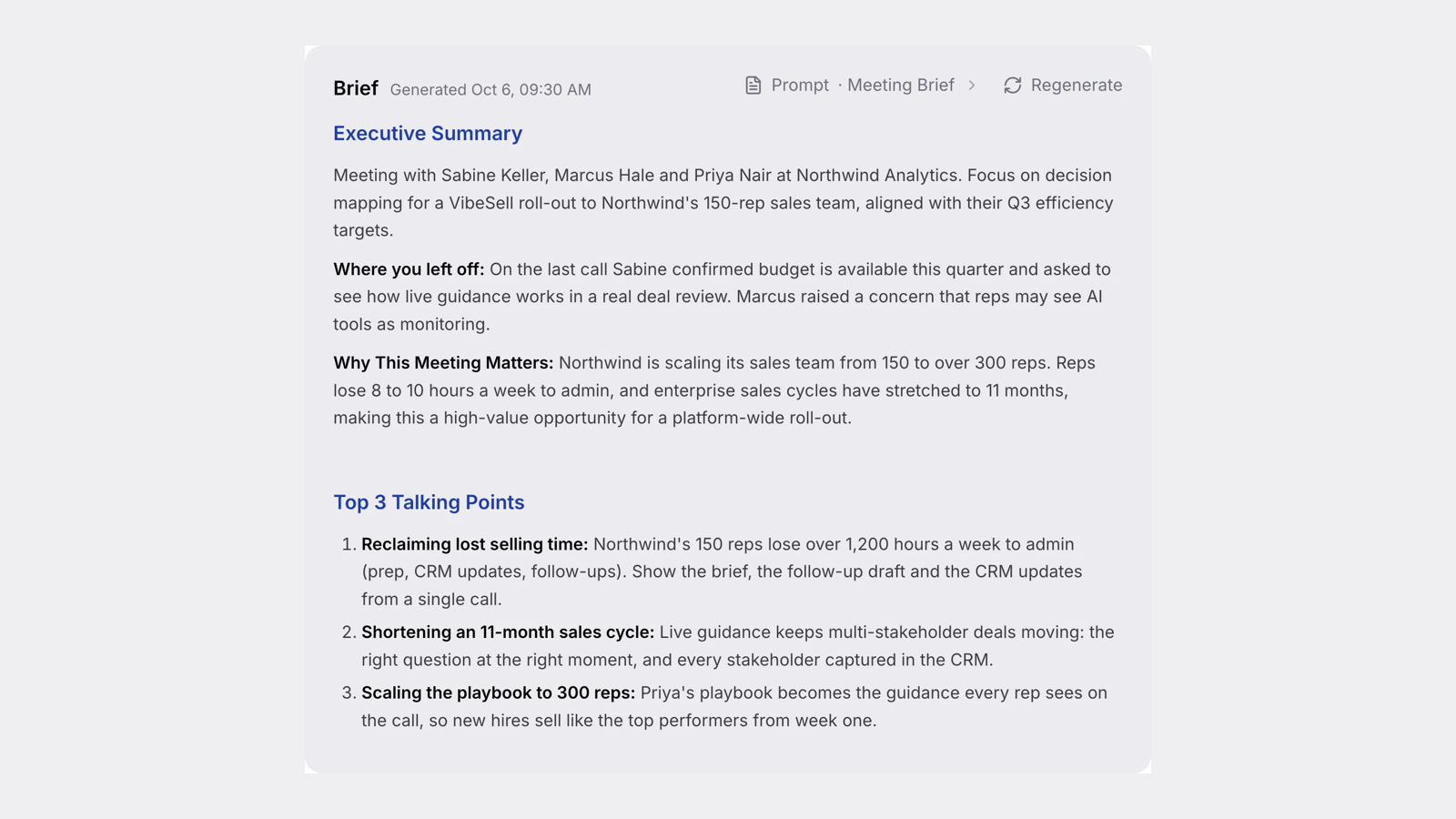 A VibeSell meeting brief with an executive summary and talking points